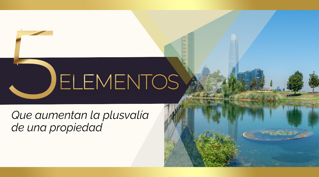 Claves para Potenciar la Plusvalía de tu Propiedad